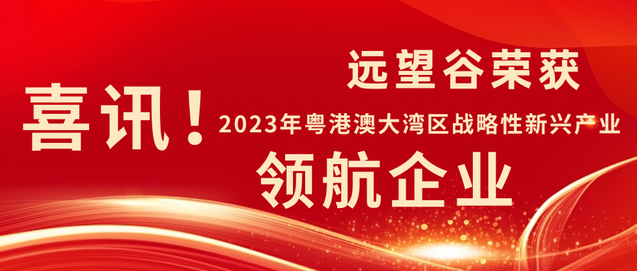 新年迎喜讯 | 优德88荣获2023年粤港澳大湾区战略性新兴产业“领航企业”！